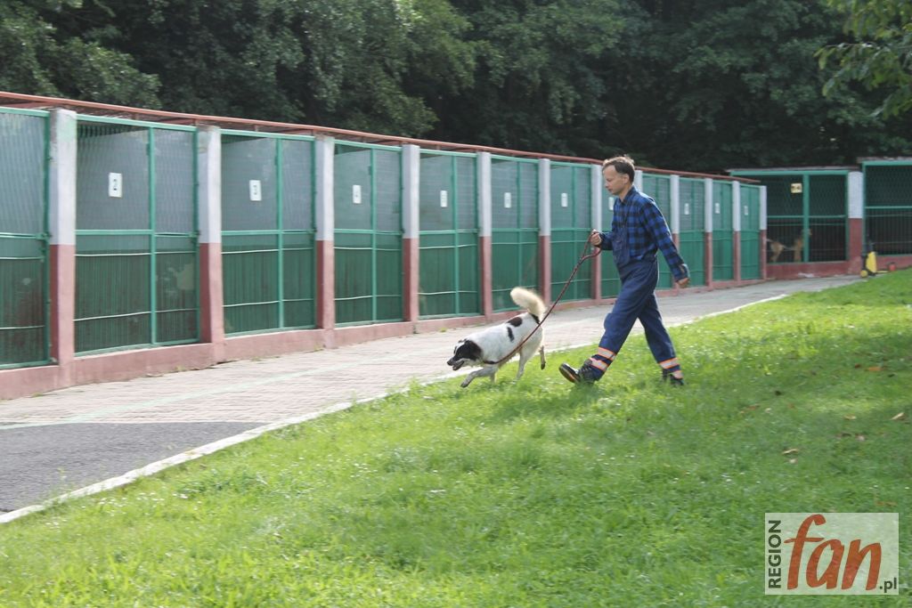 Doprowadziła psa na skraj wyczerpania (WIDEO)