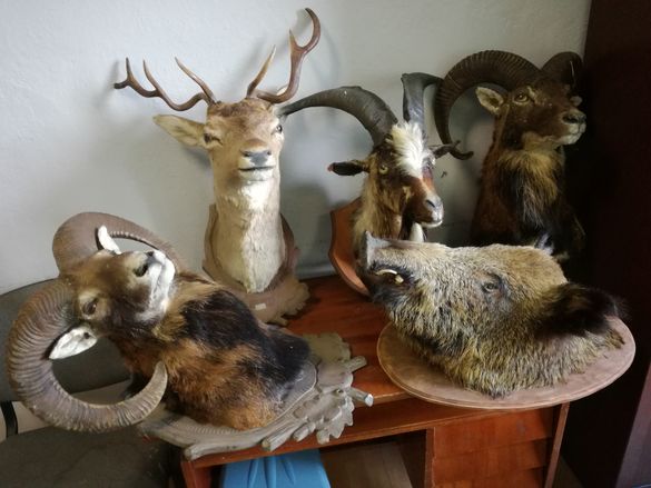 Kradł od ponad roku. Wpadł z taczką