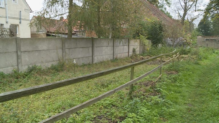 Zarzuty dla matki i babci noworodka (WIDEO)