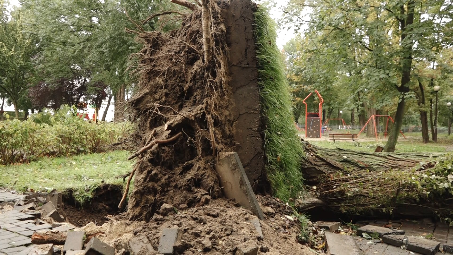 W Głogowie sprzątają i liczą szkody po nawałnicy (WIDEO)