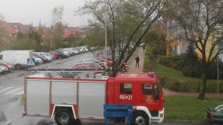 Przez silny wiatr strażacy mają mnóstwo pracy (WIDEO)
