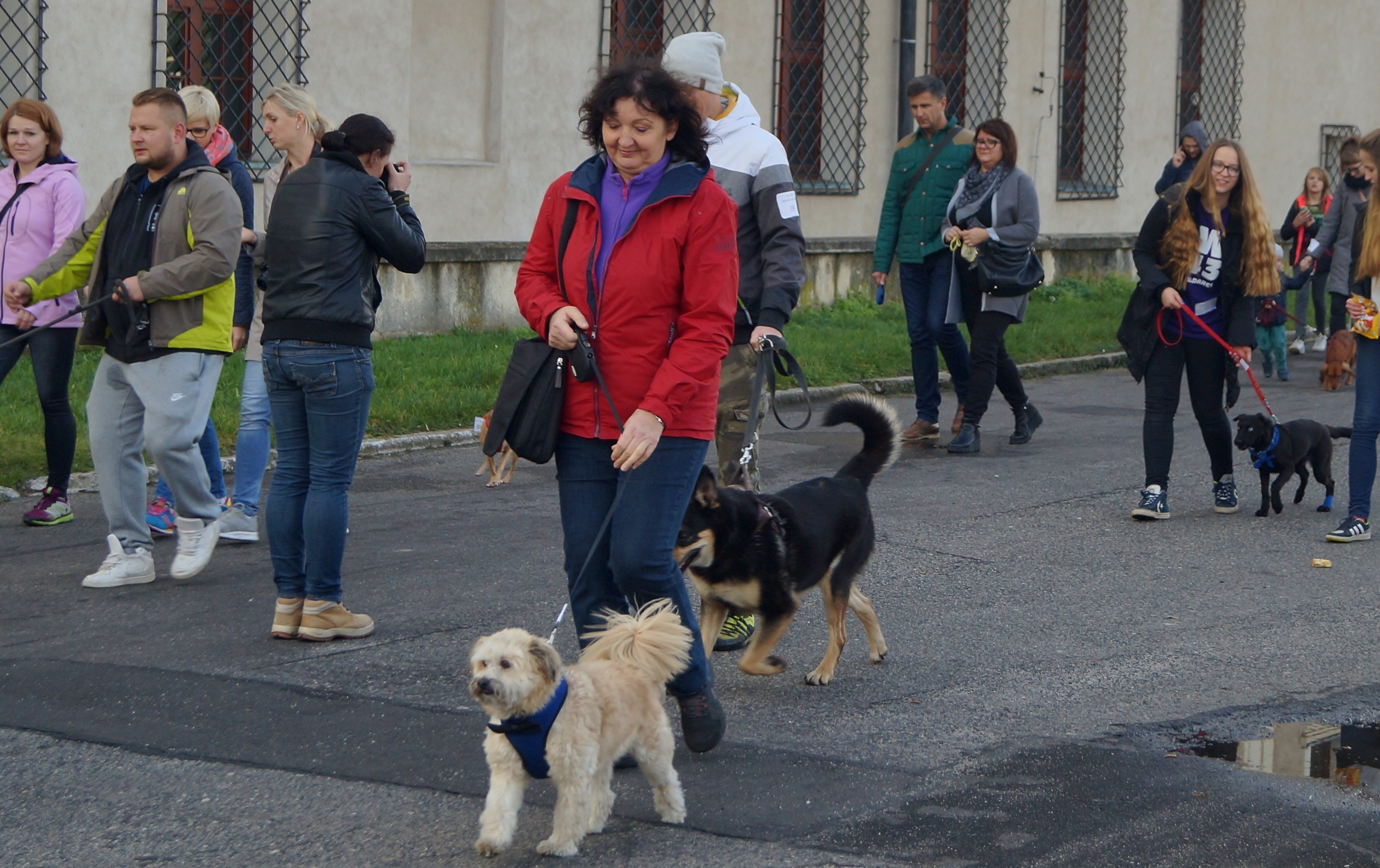 Kundelki będą paradować w Głogowie