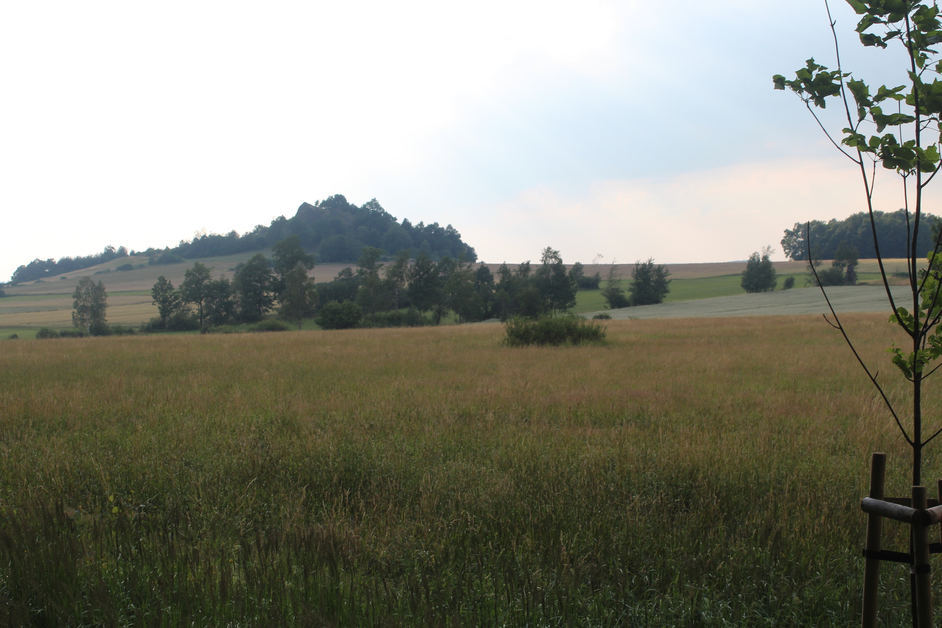 Pokaż powiat jaworski na zdjęciach