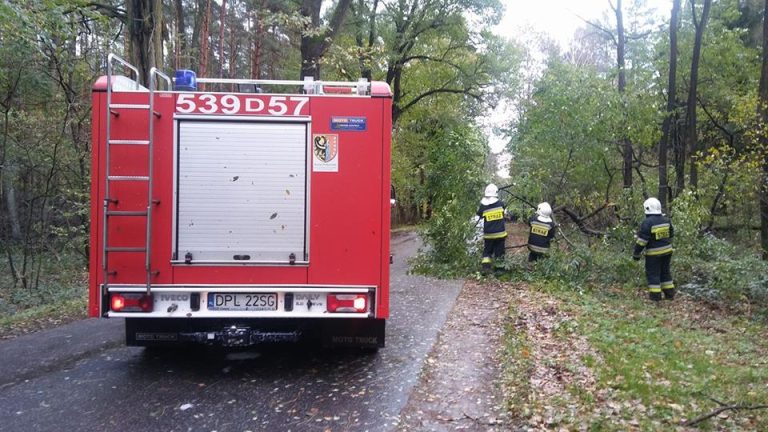 Po orkanie w powiecie polkowickim (WIDEO)
