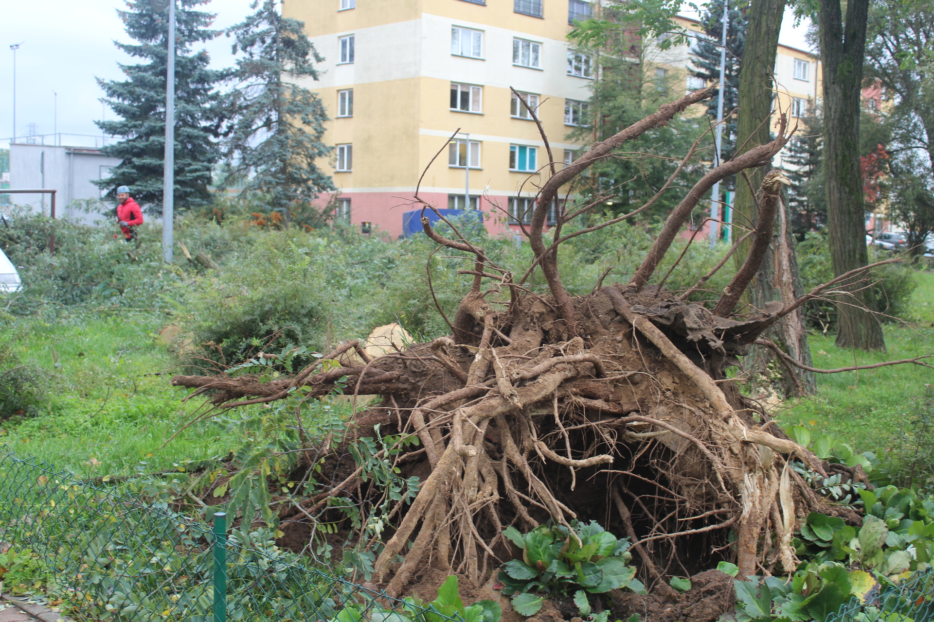 Powiat polkowicki po nawałnicy (FOTO)