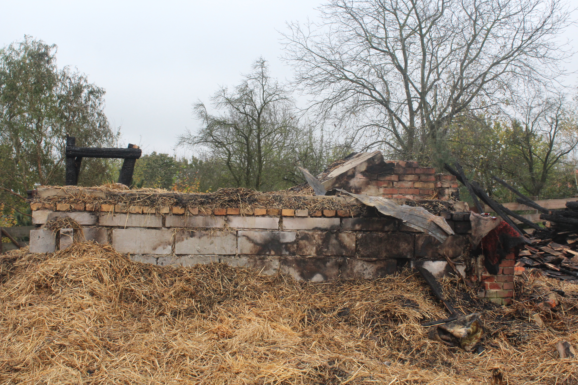 Policja zatrzymała mężczyznę podejrzewanego o podpalenia (WIDEO)