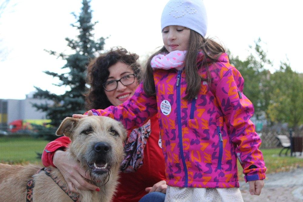 Przypięli się do budy (FOTO)