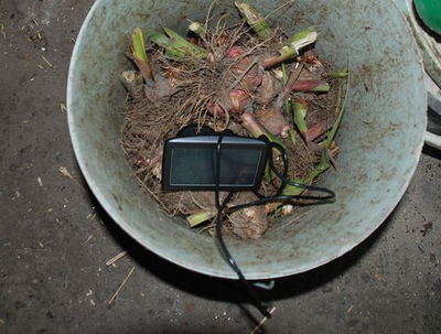 Pijany złodziej i jego kryjówka