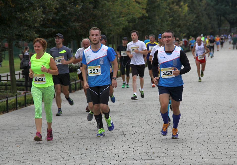 Biegiem na… Półmaraton lwa!