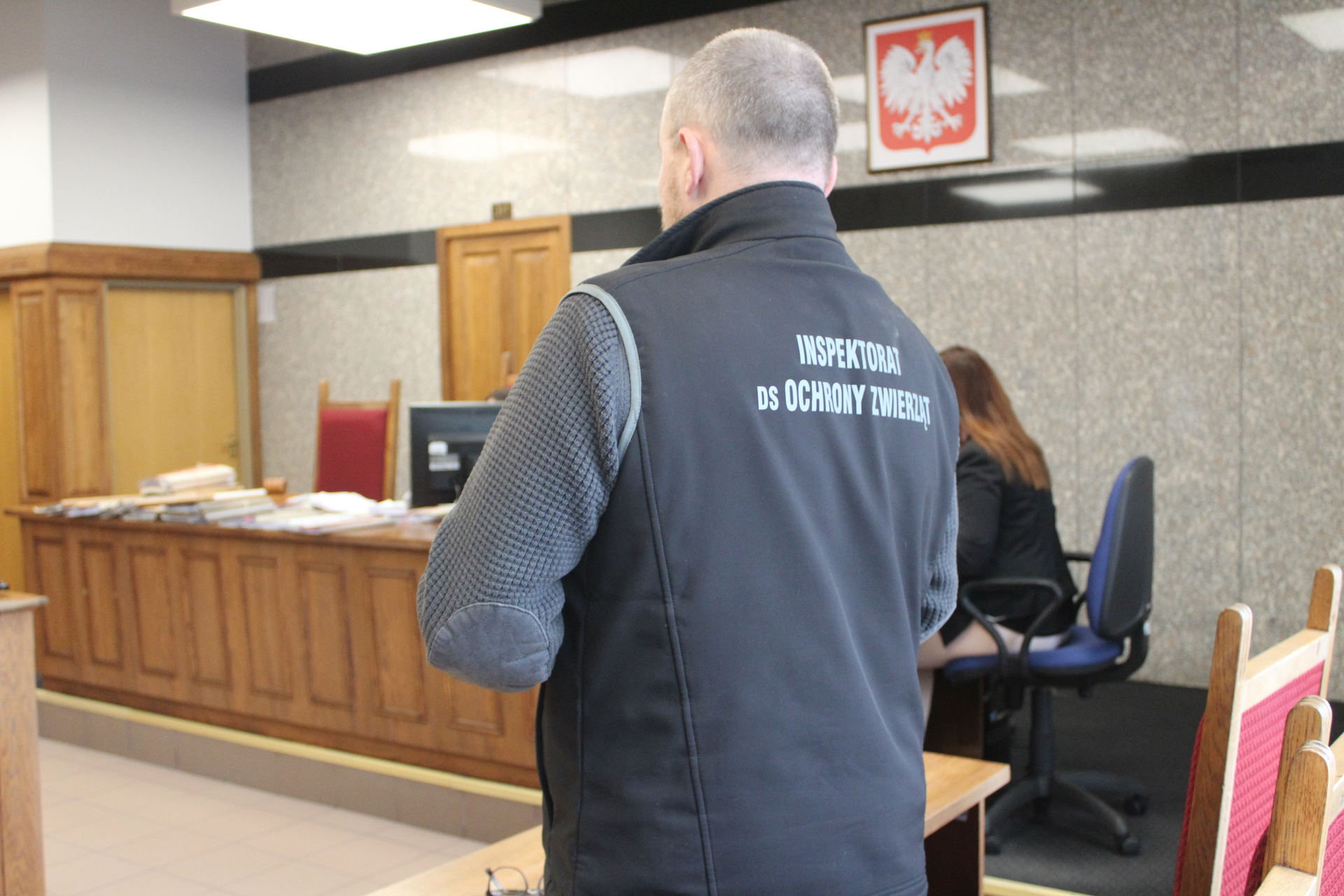 Ruszył proces za znęcanie się nad labradorami (WIDEO)