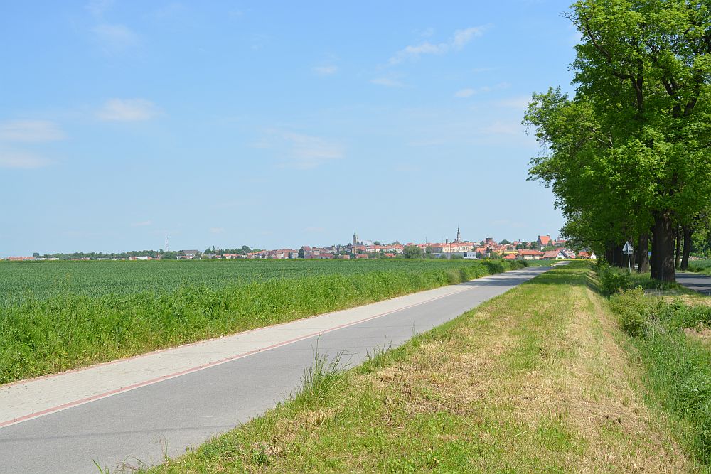 Nowe atrakcje w drodze do Wąwozu Myśliborskiego