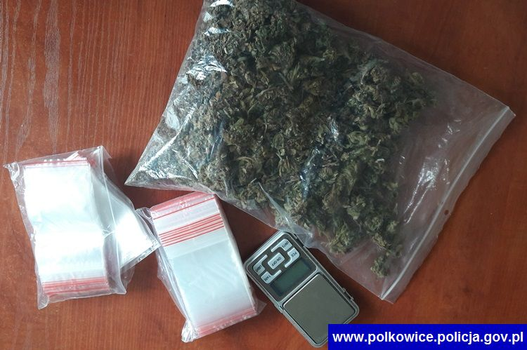 W mieszkaniu miał nie tylko narkotyki