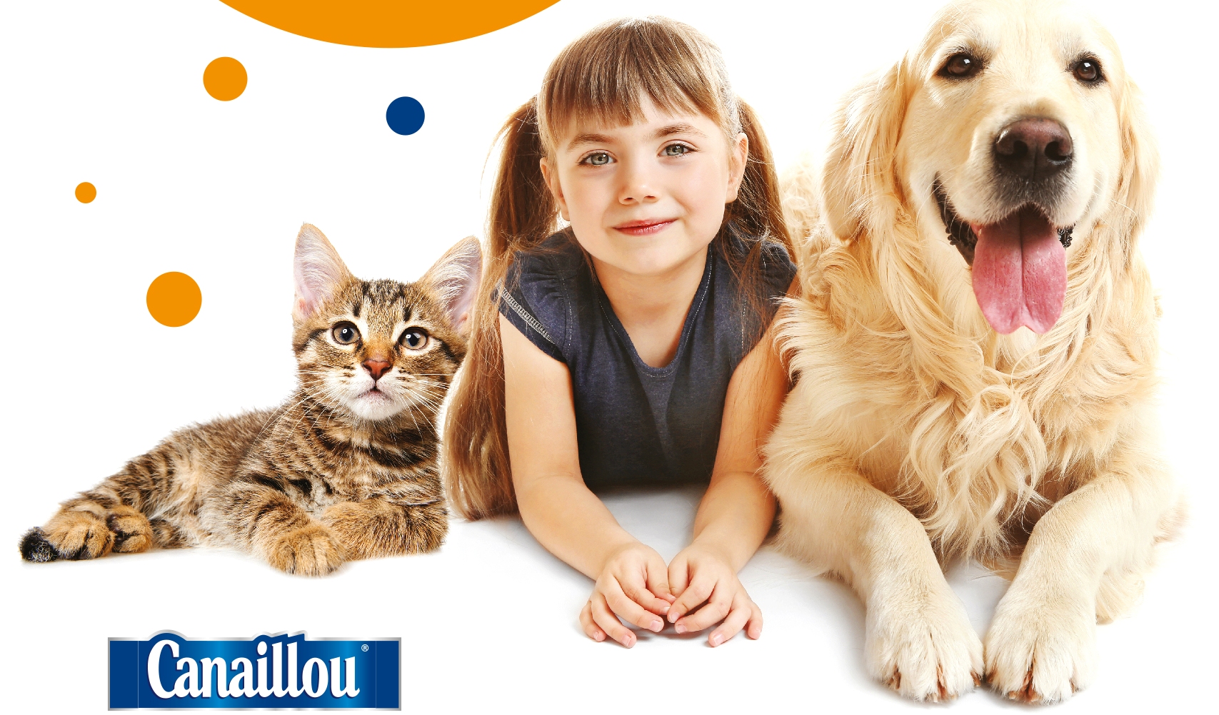 Ruszyła akcja „Nakarm bezdomne zwierzaki”