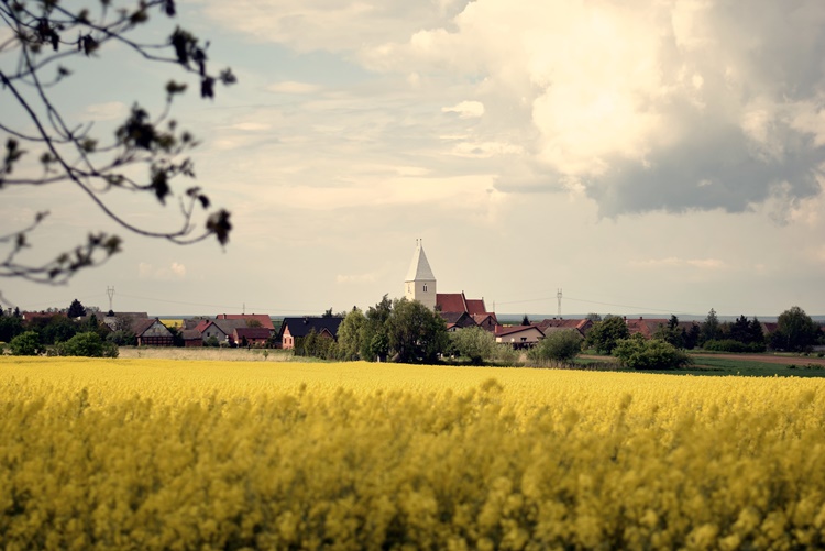 Porozmawiają o Dalkowie i okolicy