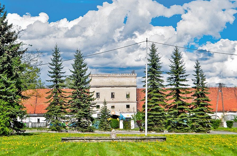 Pałac w Piotrowicach na sprzedaż. Gmina czeka już 6 lat