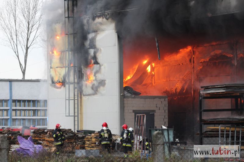 Prokuratura bada przyczyny pożaru hali (WIDEO)