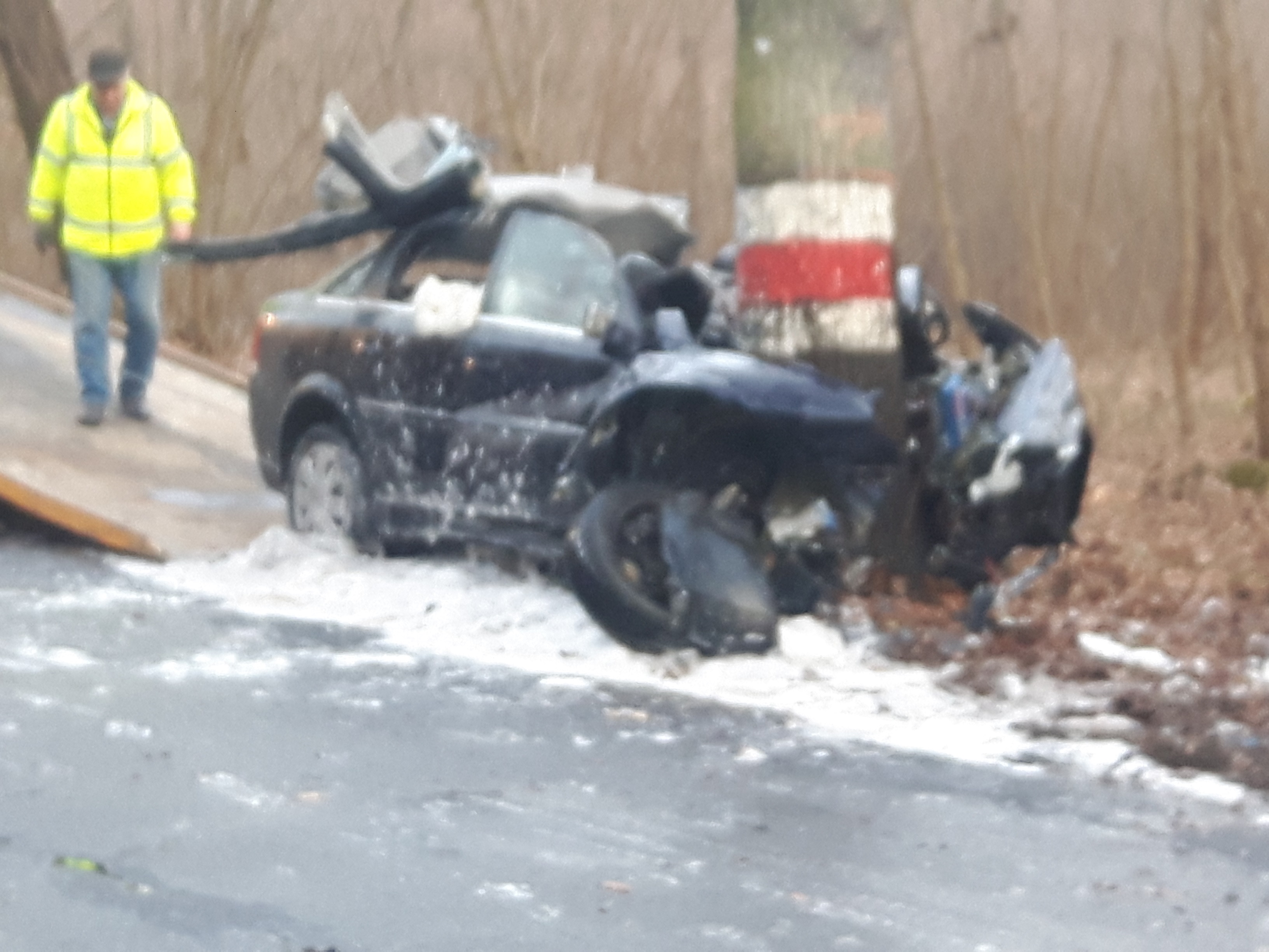 Śmiertelne uderzenie w drzewo (WIDEO)