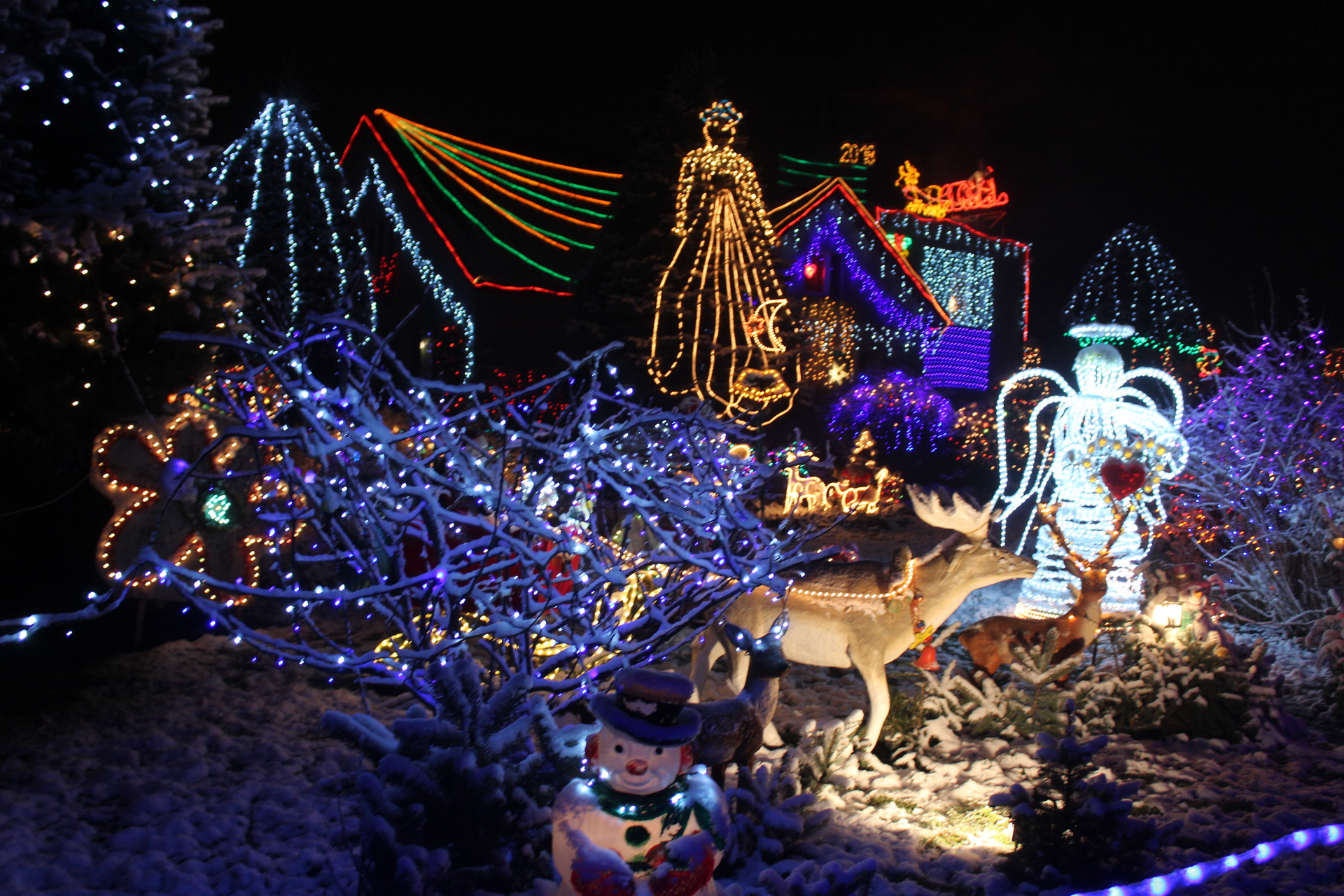 Bajkowy ogród w Polkowicach już gotowy (WIDEO, FOTO)