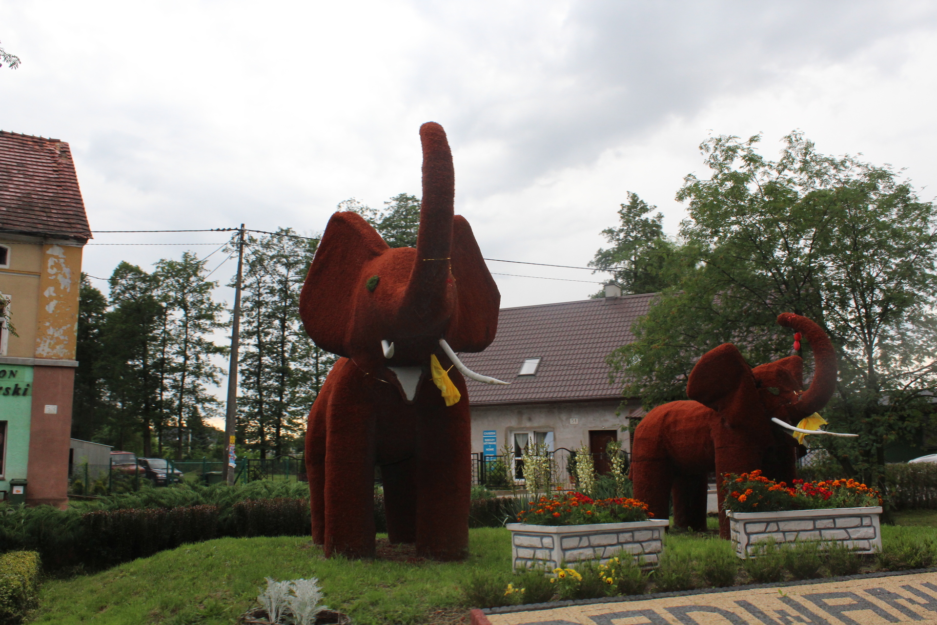 W gminie Radwanice czekają na „Animków”