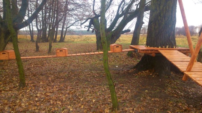 Więcej atrakcji w parku linowym