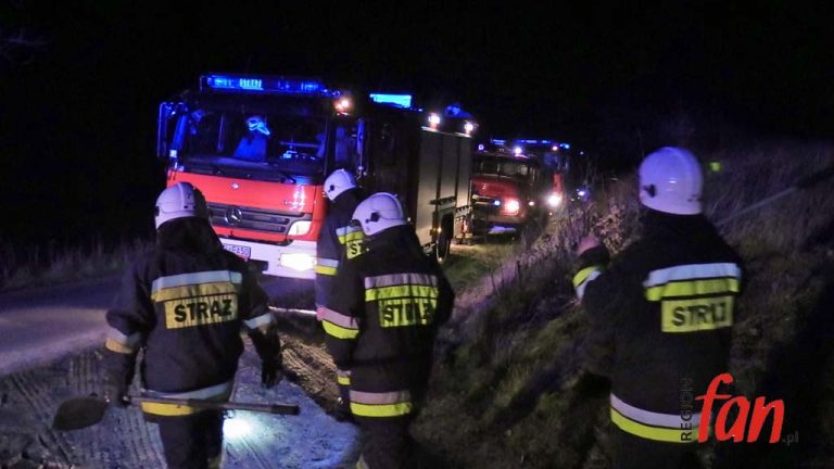 Groźny pożar pod lasem (WIDEO)