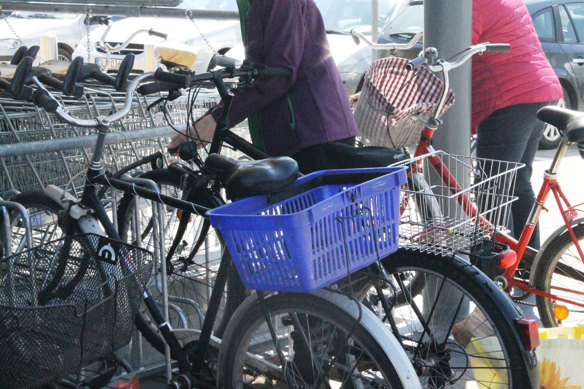 Kradzieże to ich chleb powszedni (WIDEO)