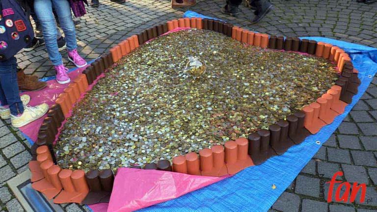 Ziarnko do ziarnka (FOTO)