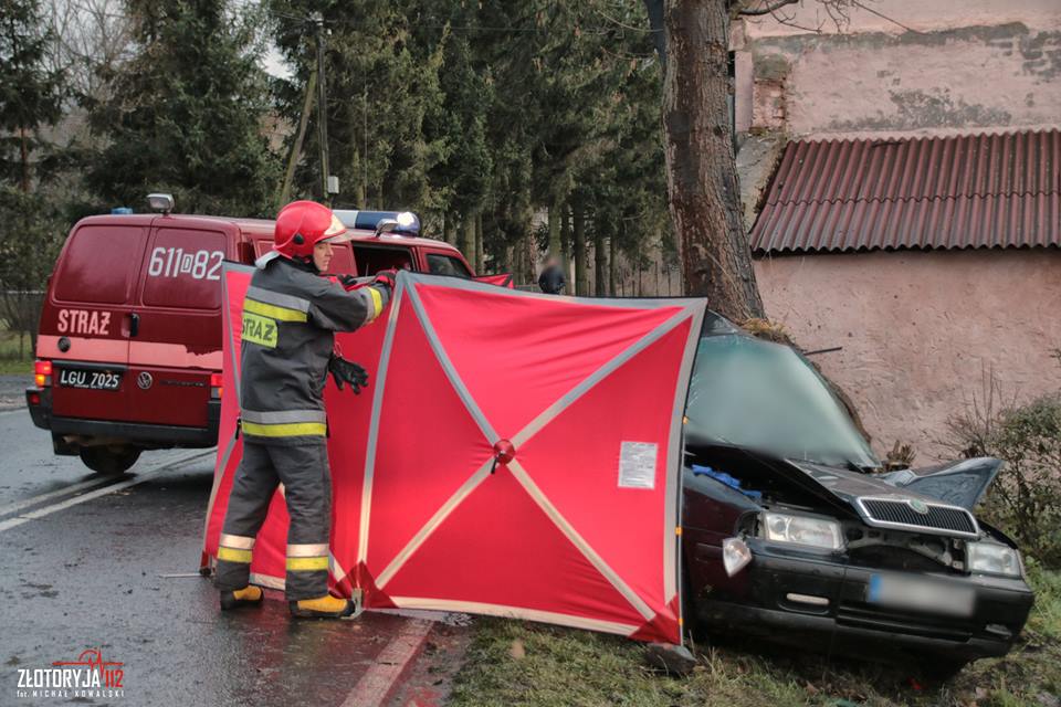 Tragiczny finał wypadku w Nowym Kościele. Nie żyją dwie osoby (FOTO)