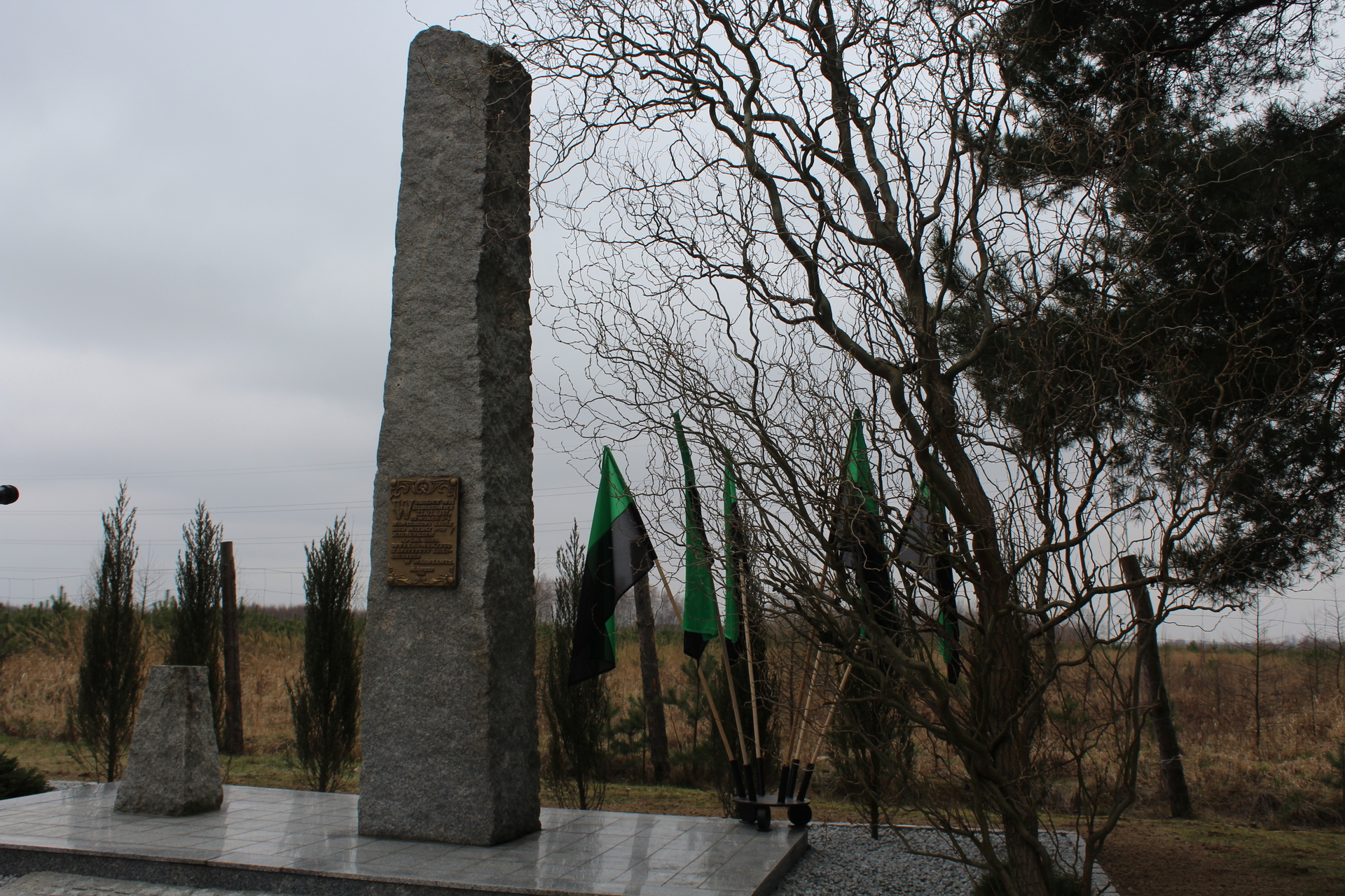 Radwanice 2017 w kalejdoskopie (FOTO)