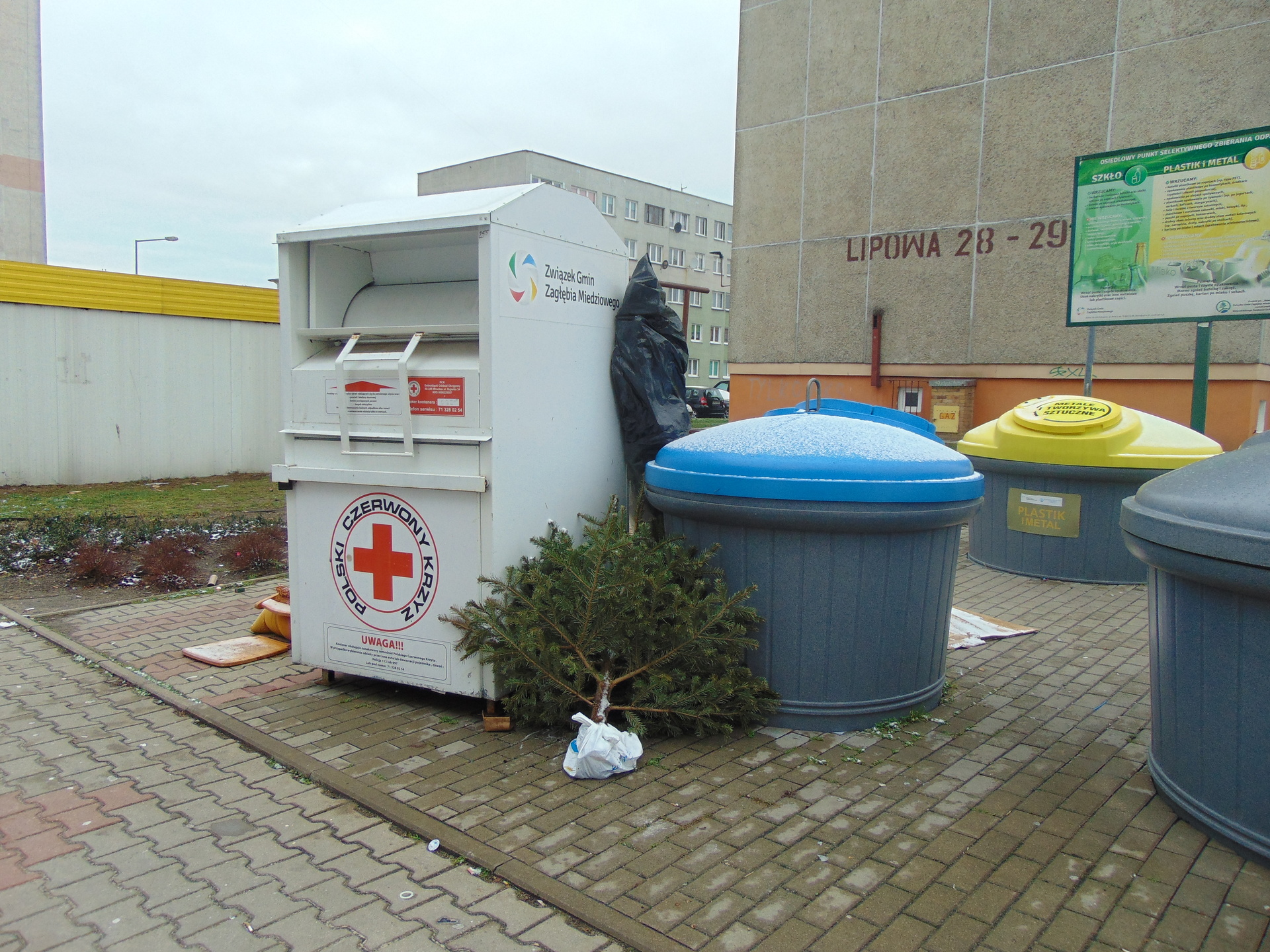 W Legnicy rusza zbiórka choinek