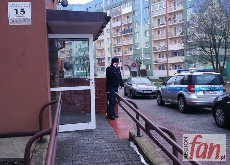 Dzieciobójczyni przyznała się do winy (WIDEO)