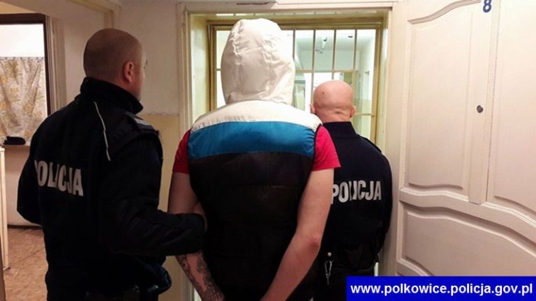 Trafił do aresztu. Z długą listą przestępstw