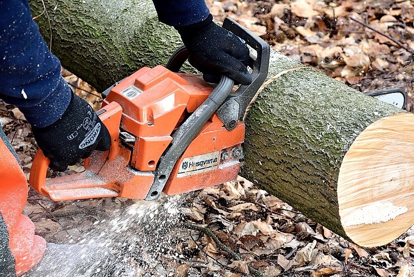 Poszli wyjaśniać spór… z piłą spalinową (WIDEO)
