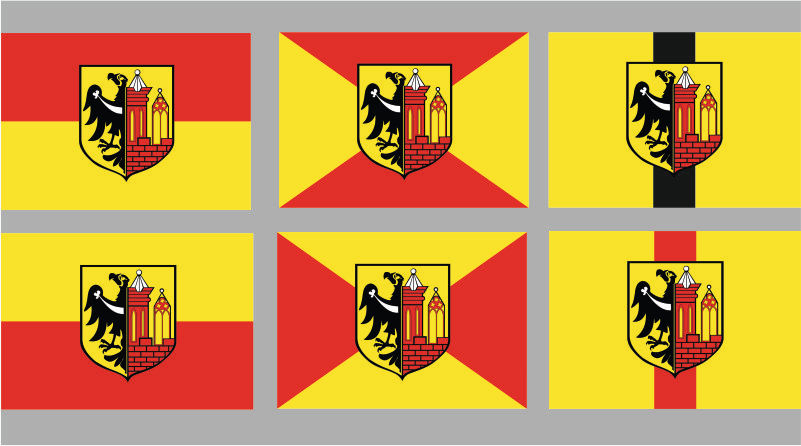 Ścinawa będzie miała flagę. Trwa głosowanie (WIDEO)