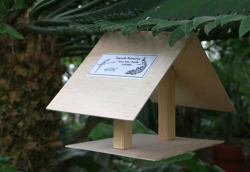 Święto babć i dziadków w palmiarni