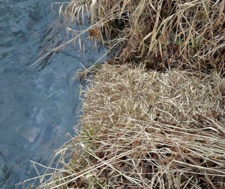 Kilkaset litrów oleju wyciekło do Kaczawy (FOTO)