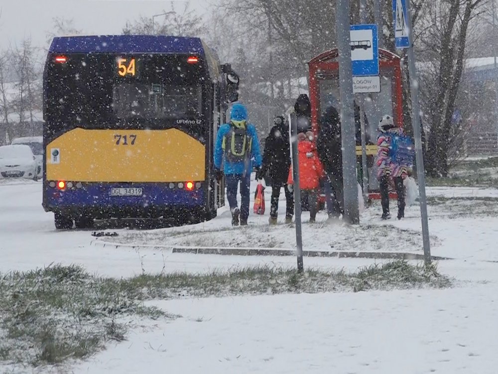(Nie) czekając na autobus (WIDEO)
