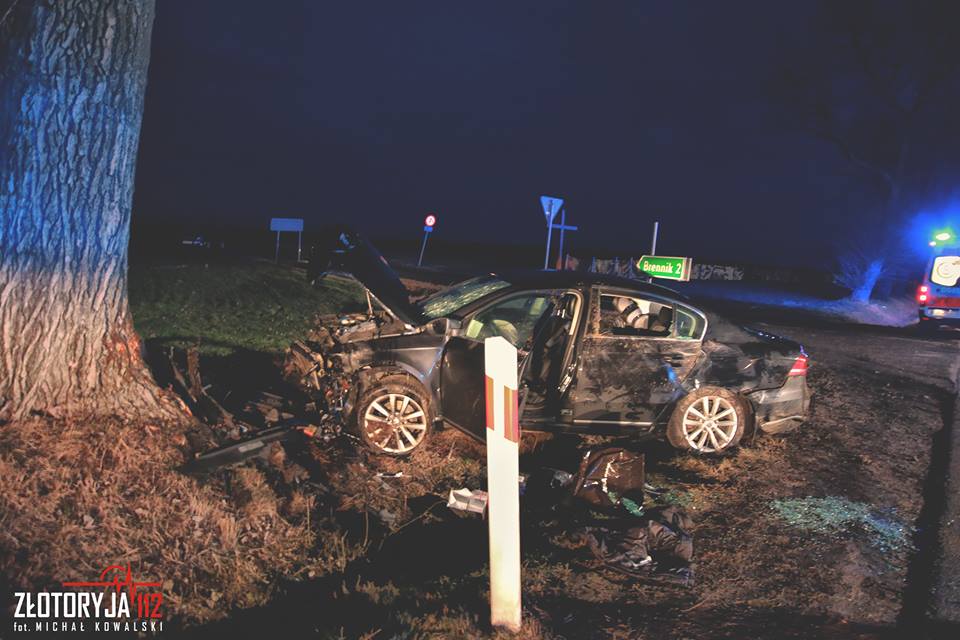 Straciła panowanie nad kierownicą i uderzyła w drzewo (FOTO)