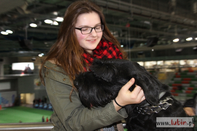 Piękności z całej Europy opanowały Lubin