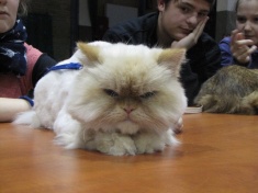 Pochwalą się pupilami