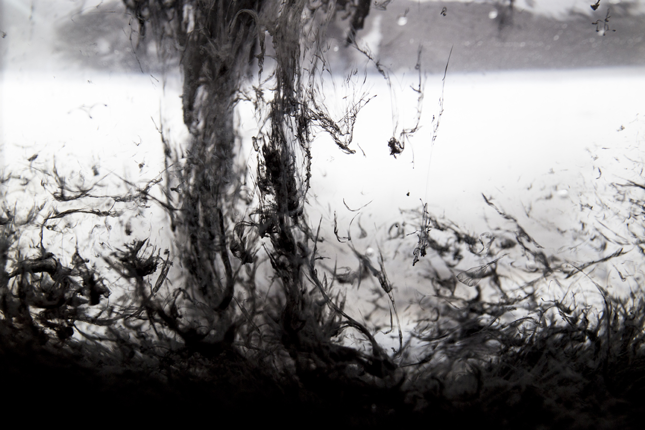 Hanoff: w matni emocji