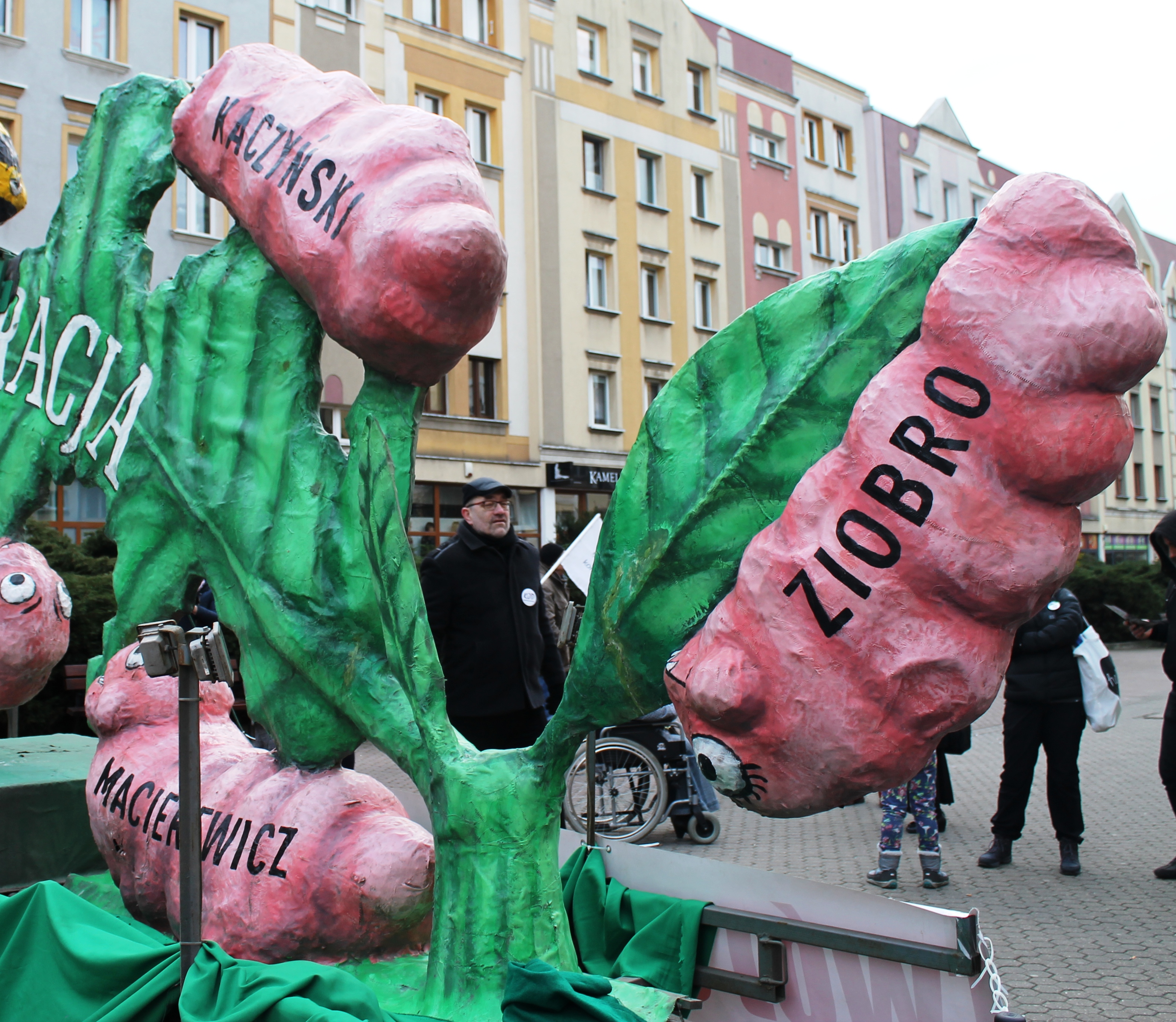 Politycy jako mlaskające gąsienice (FOTO, WIDEO)