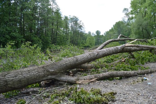 Drzewo na linii i płonąca butla z gazem