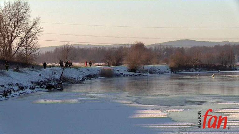 Strażacy ratowali miejskie łabędzie (FOTO, WIDEO)