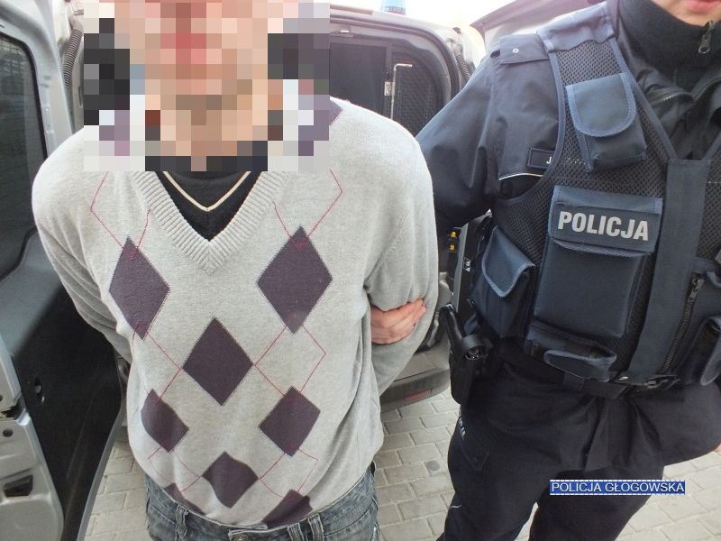 Głogowsko-legnicka szajka złodziei rozbita