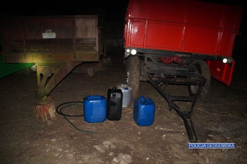 Odsiadka niczego go nie nauczyła (WIDEO)