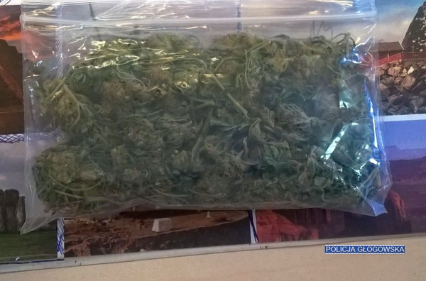 340 świątecznych interwencji policji