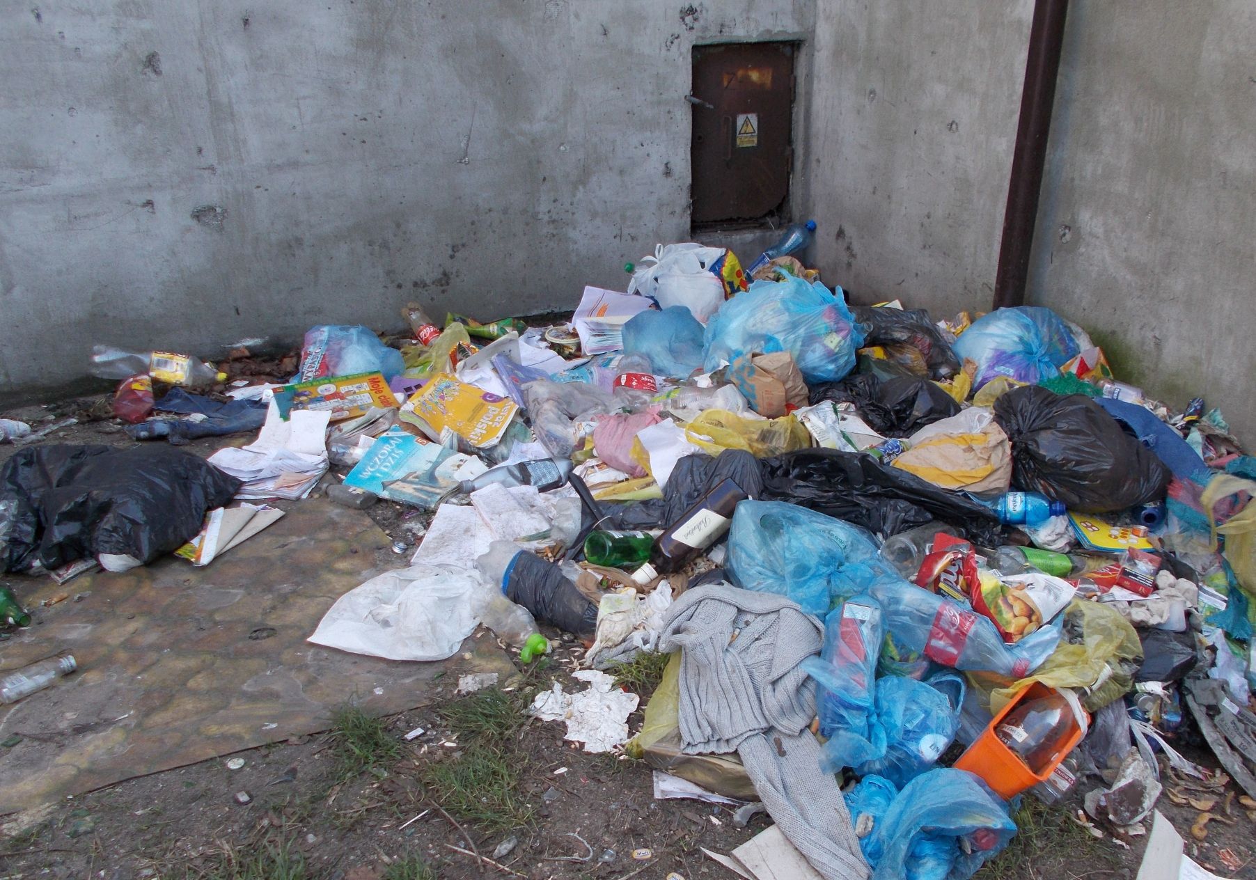 Wielkie porządki w Legnicy. 7 ton śmieci!