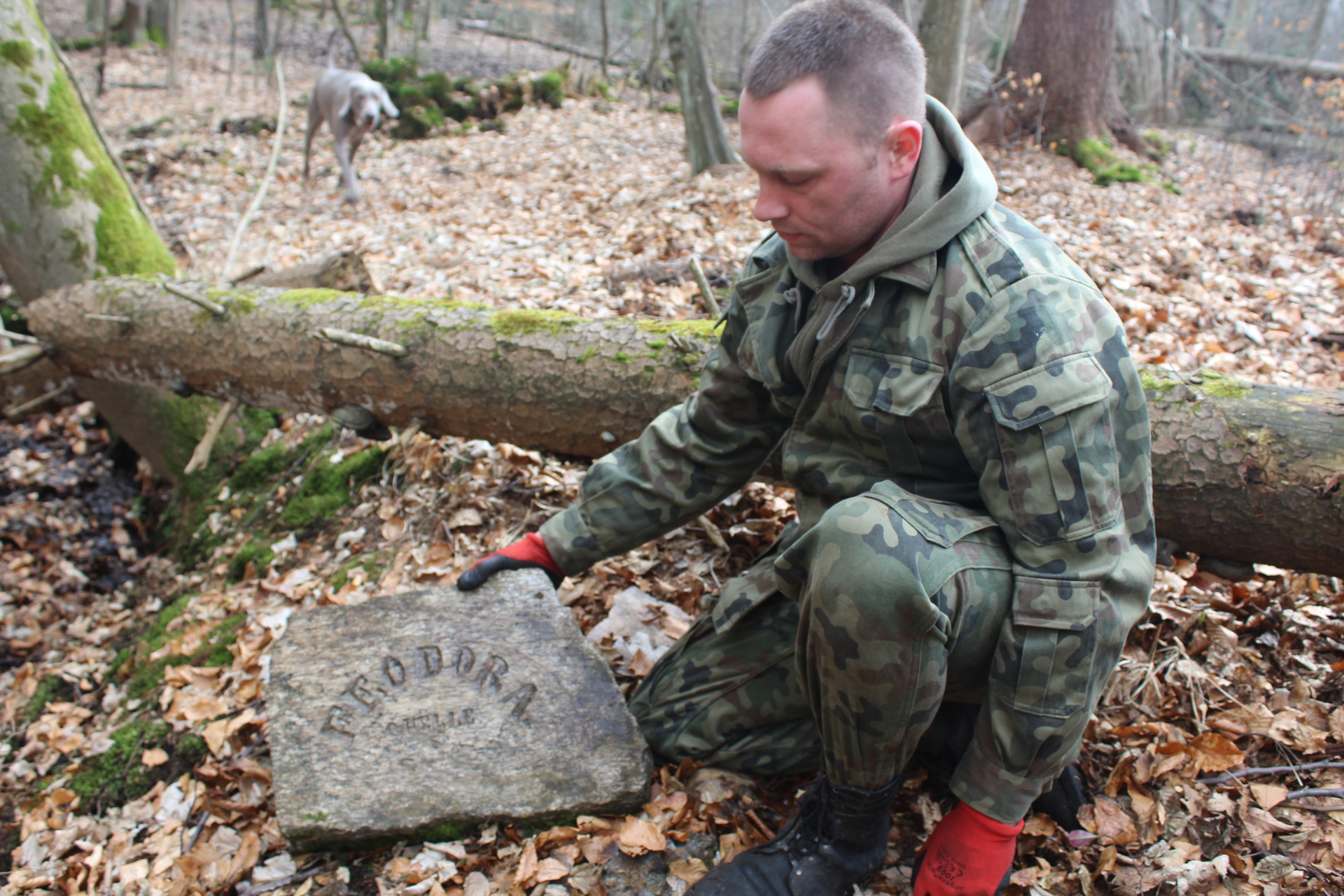Kolejna ciekawostka z przemkowskiego parku (FOTO)