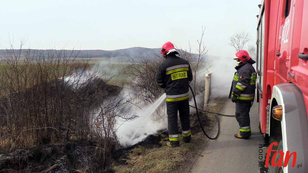 Idzie wiosna – płoną trawy (FOTO, WIDEO)